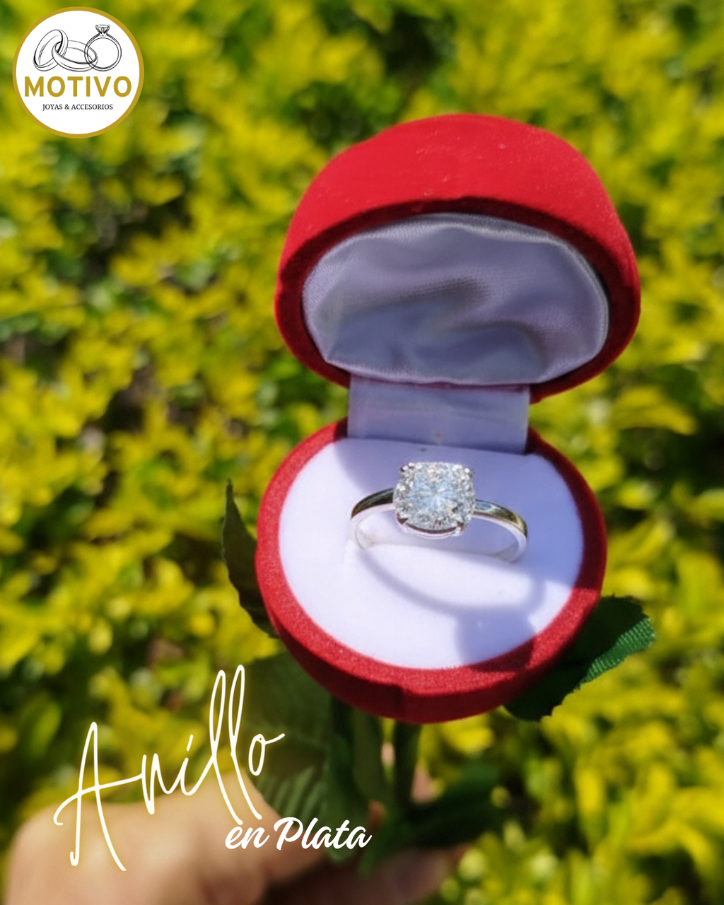 Anillo para compromiso en plata 925 con estuche en forma de rosa🌹 Ref A1