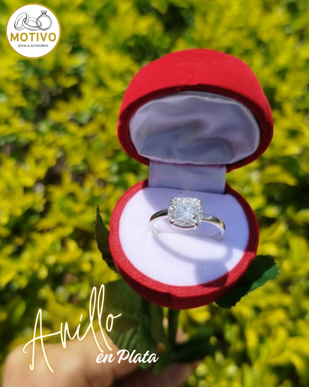 Anillo para compromiso en plata 925 con estuche en forma de rosa🌹 Ref A1
